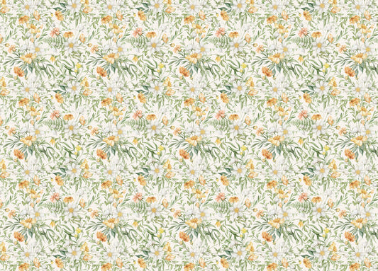 Yellow Colors Flower Meadow Wildflower and Foliage Wallpaper