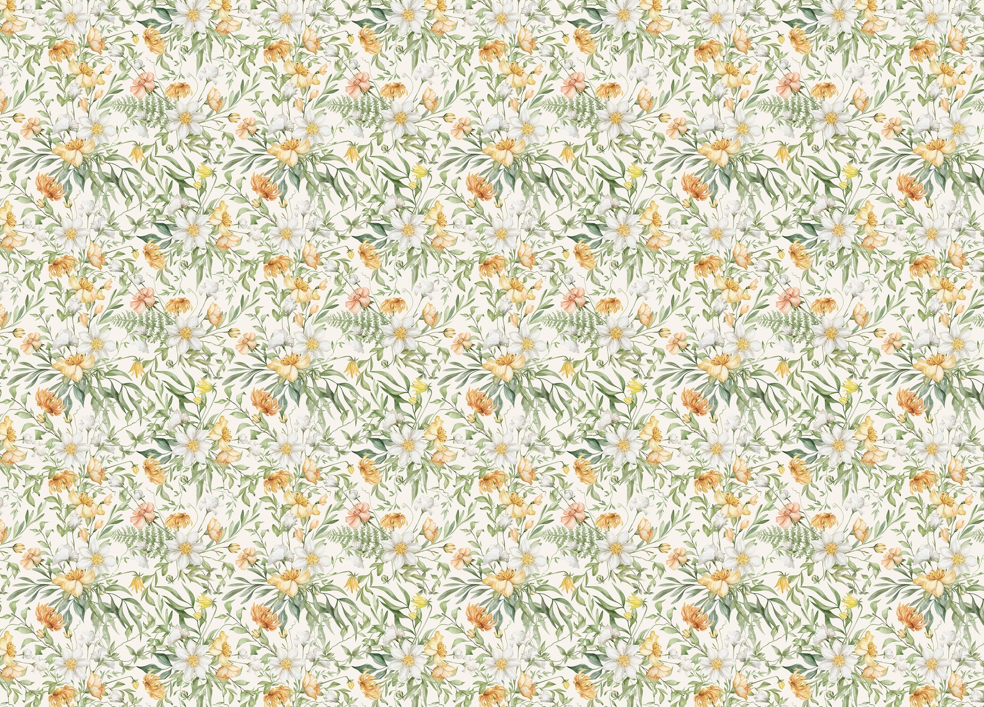 Yellow Colors Flower Meadow Wildflower and Foliage Wallpaper