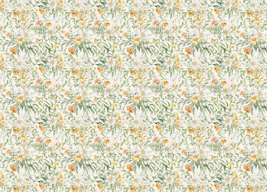 Yellow Colors Flower Meadow Wildflower and Foliage Wallpaper