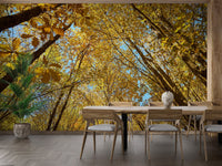 Amber colored autumn leaves against a clear sky wallpaper.