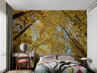 Bright autumn morning in a yellow leaf forest wallpaper.