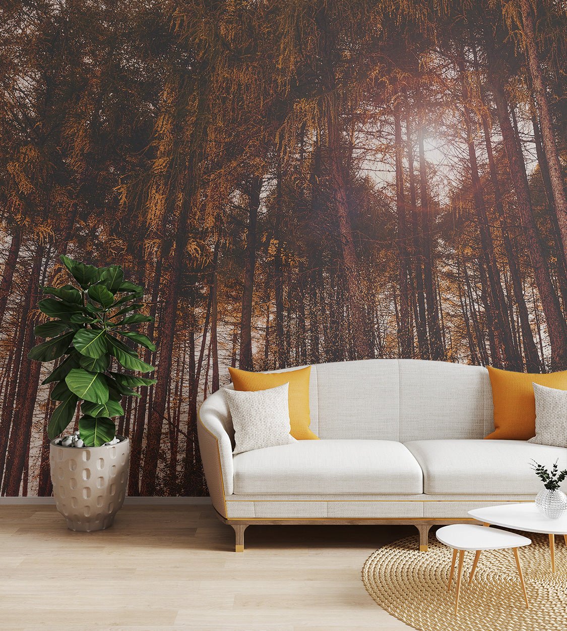 Golden hour forest wallpaper featuring tall autumn trees with sunlight.
