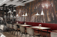 Golden Hour Forest Wallpaper - Wallanza