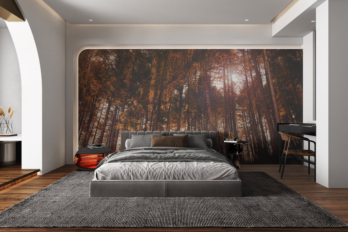 Golden hour forest wallpaper with a warm evening glow and soft light.