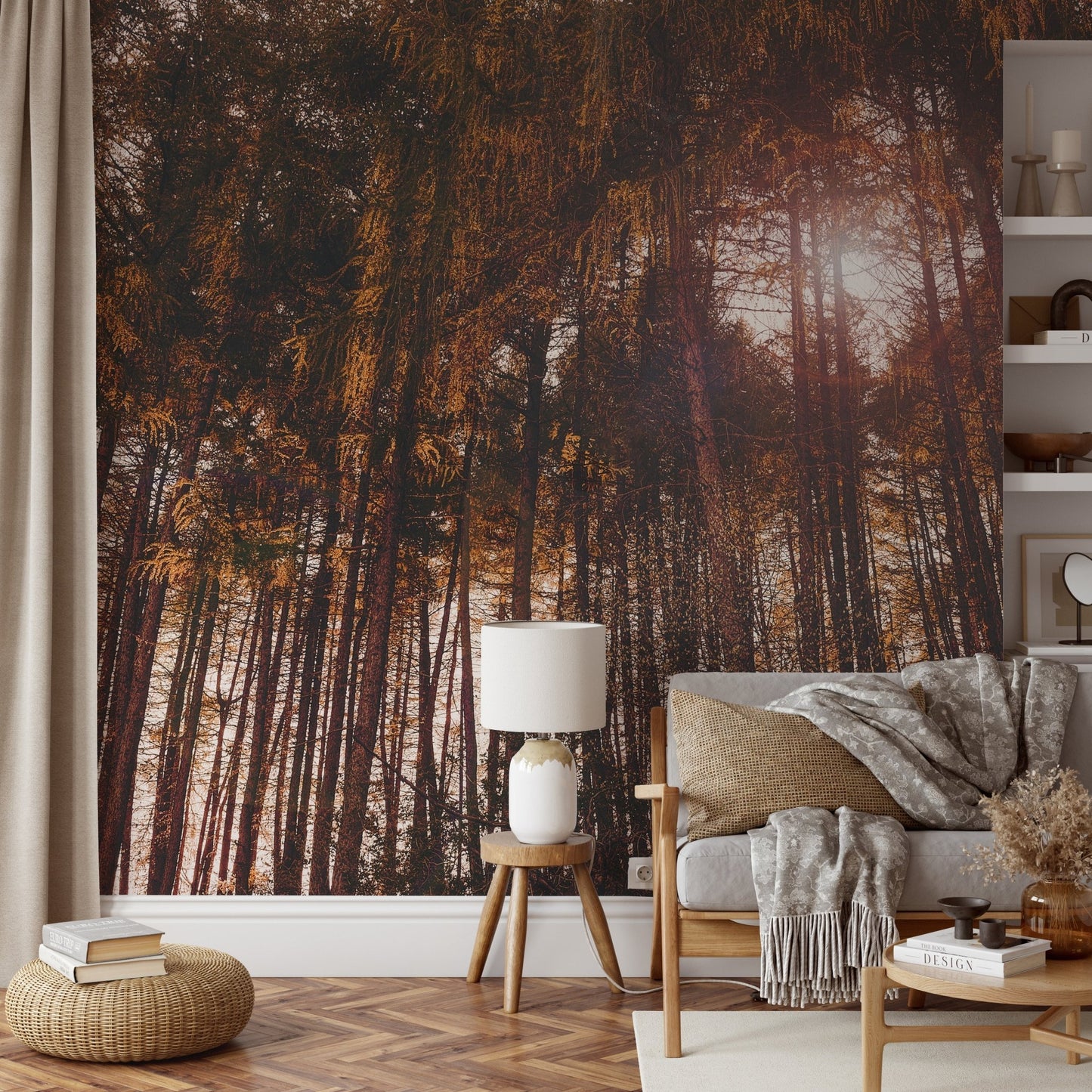 Golden Hour Forest Wallpaper - Wallanza