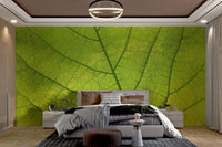 Green Leaf Vein Texture Wallpaper - Wallanza