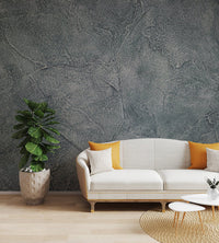 Detailed grey rock texture wall mural for apartment living area.