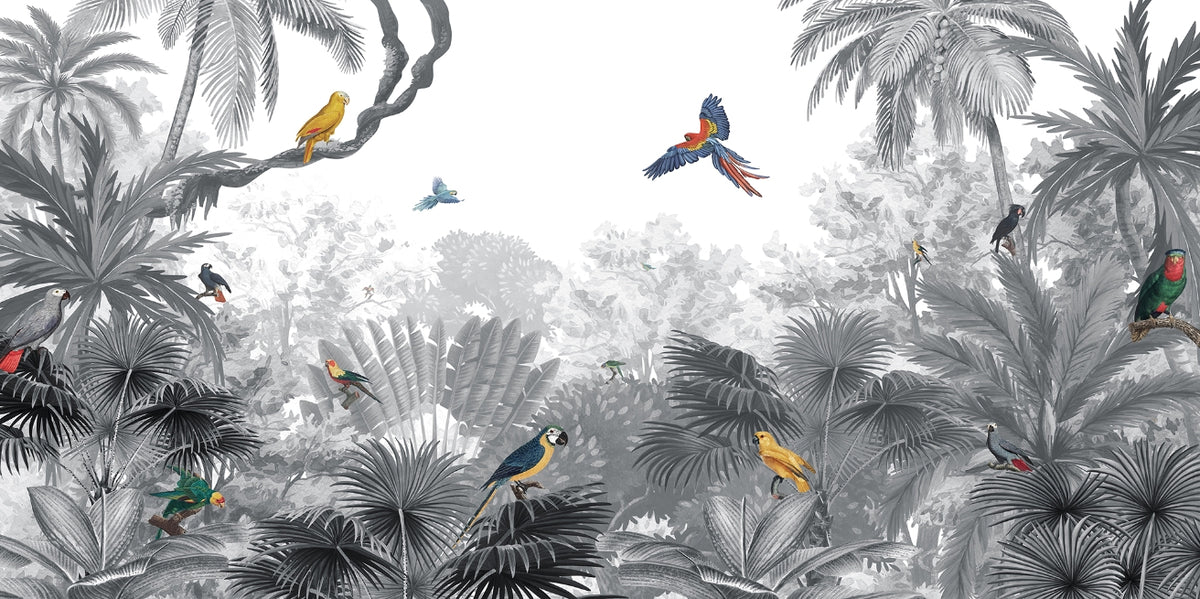 Tropical Birds Canopy Wall Mural in your room