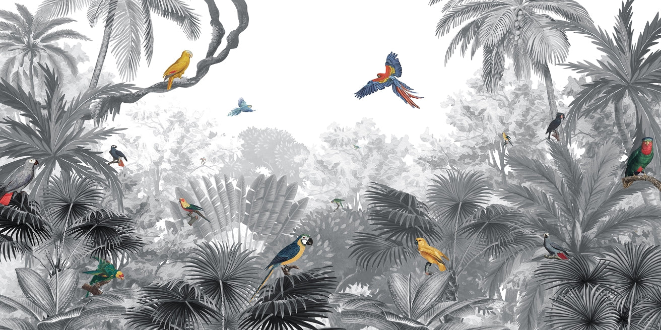 Tropical Birds Canopy Wall Mural