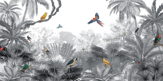 Tropical Birds Canopy Wall Mural