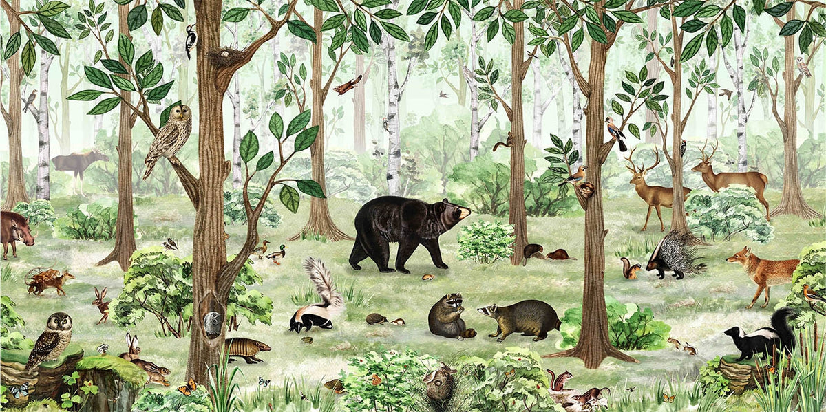 Forest Lookbook Wallpaper Murals in your room