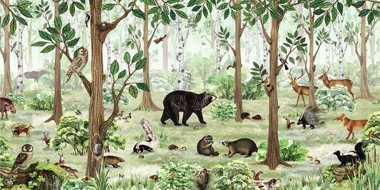 Forest Lookbook Wallpaper Murals