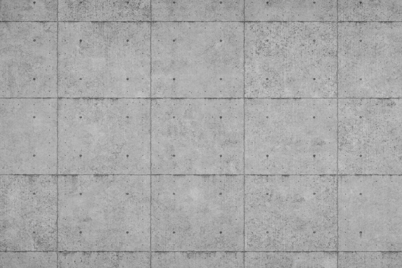Raw Edge Modern Concrete Texture Wall Mural