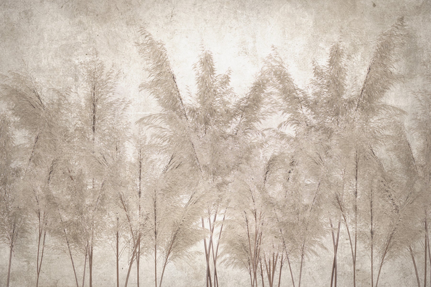 Whispering Grassland Wall Mural