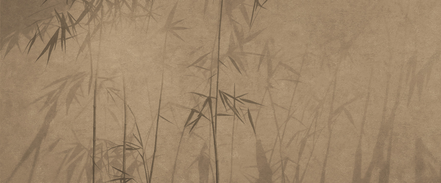 Zen Bamboo Forest Wall Mural