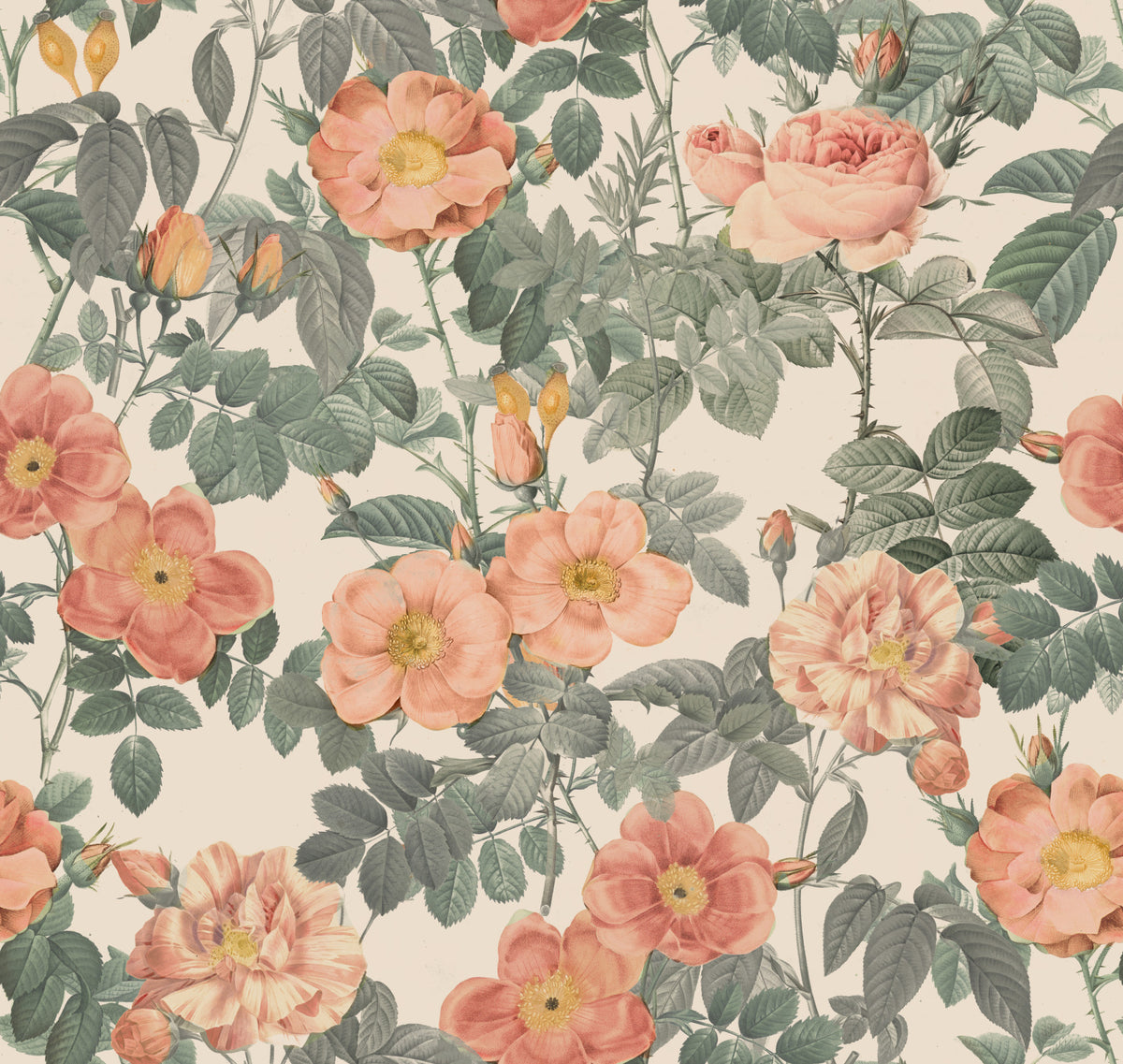 Antique Rose Garden Wallpaper⁠ in your room — zoomed