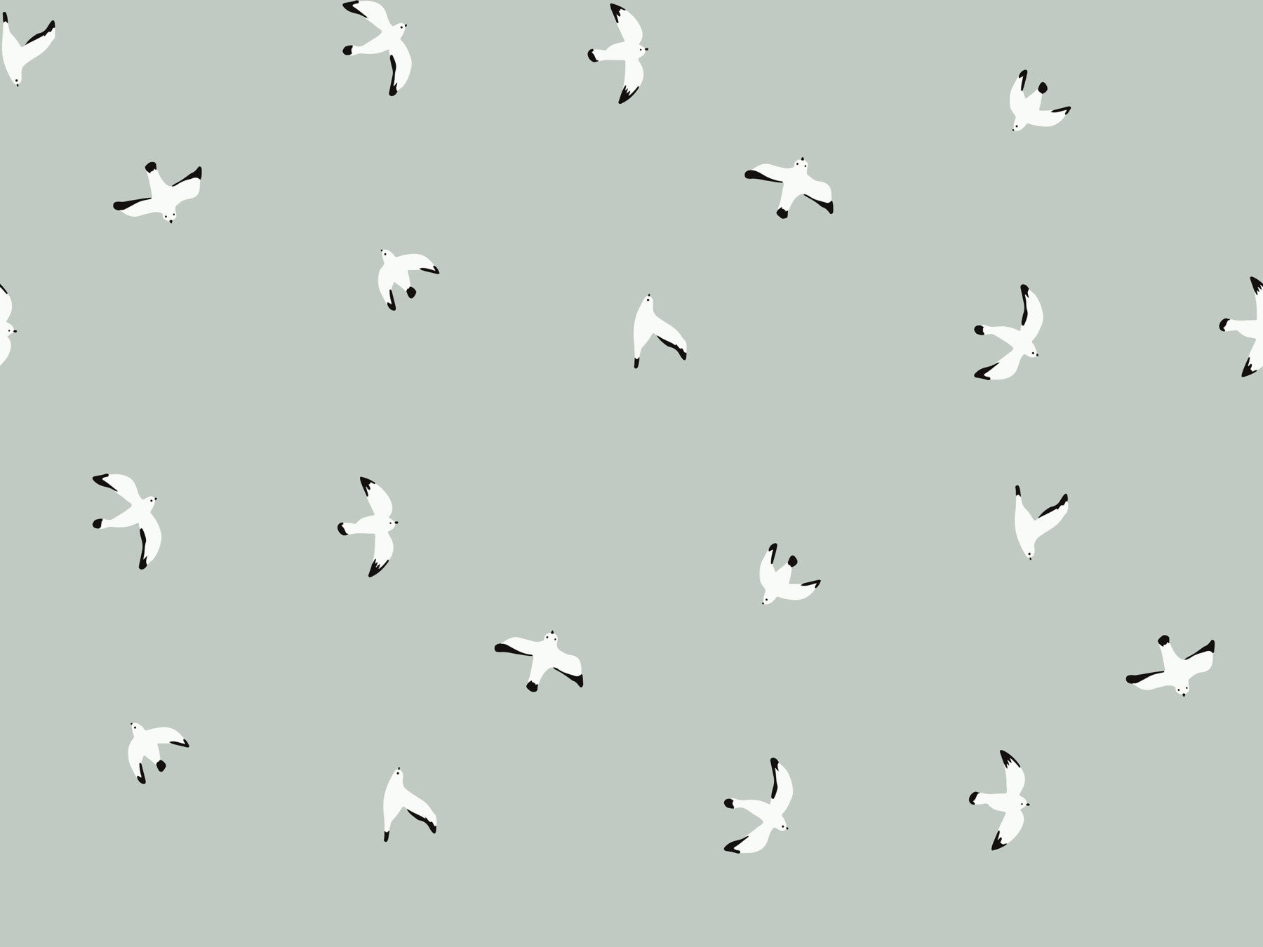 Seagull's Serenade Wallpaper⁠
