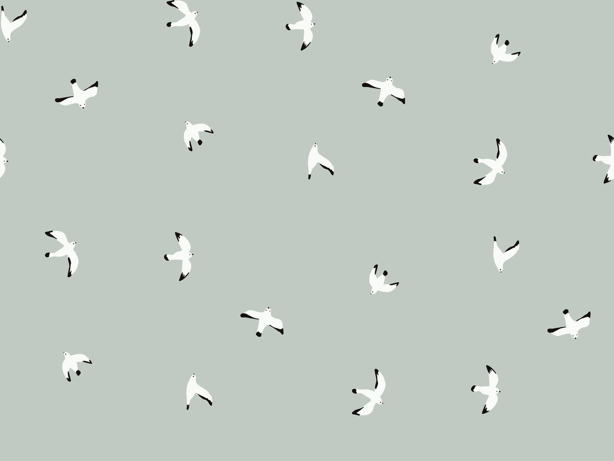 Seagull's Serenade Wallpaper⁠ in your room — zoomed
