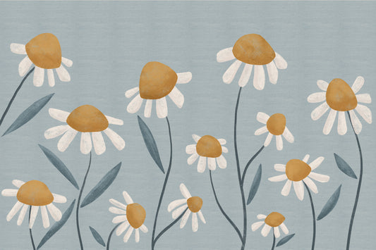 Daisy Dreams Wall Mural