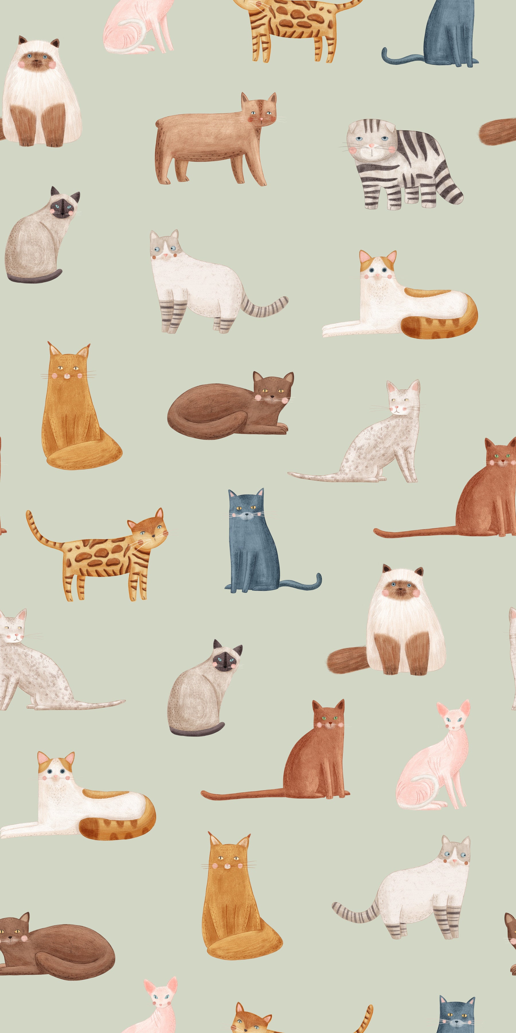 Cool Cats in sage green Wallpaper⁠