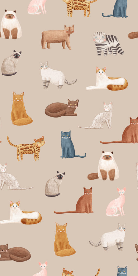 Curious Cats in Beige Wallpaper⁠