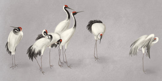 Tranquil Crane Ensemble Wall Mural