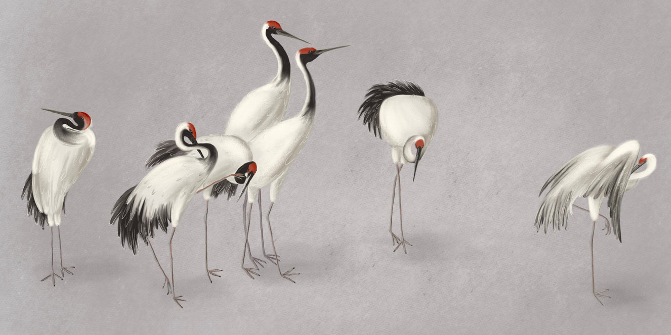 Tranquil Crane Ensemble Wall Mural