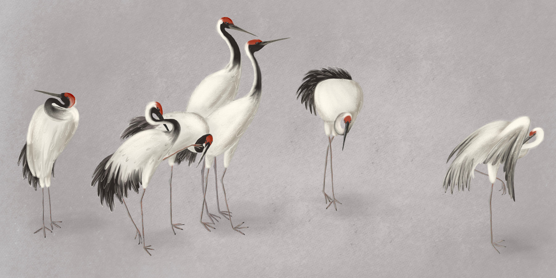Tranquil Crane Ensemble Wall Mural