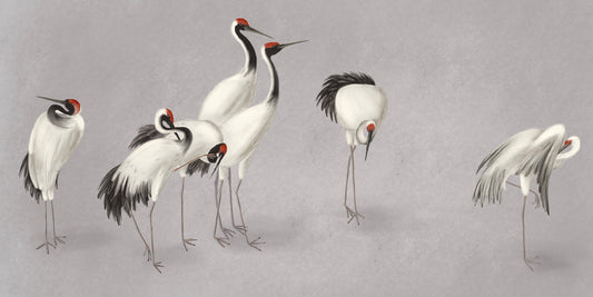 Tranquil Crane Ensemble Wall Mural