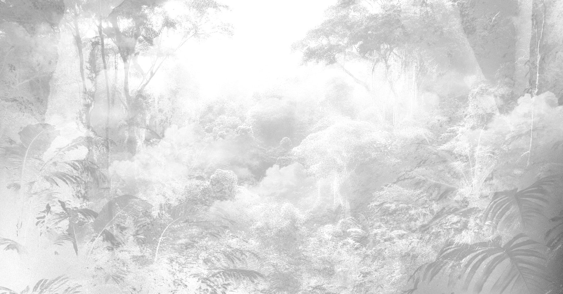 Ethereal Jungle Mist Wall Mural