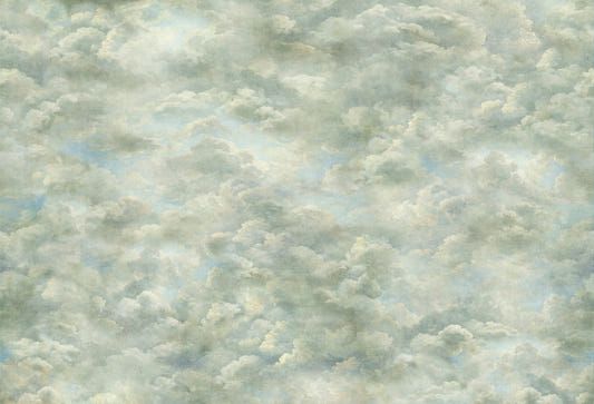 Ethereal Renaissance Sky Wall Mural