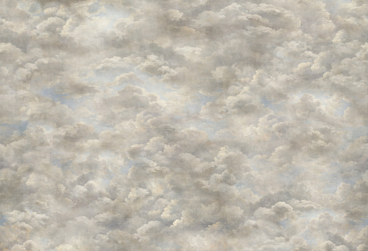 Renaissance Dreamscape Clouds Wall Mural in your room