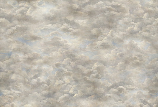 Renaissance Dreamscape Clouds Wall Mural