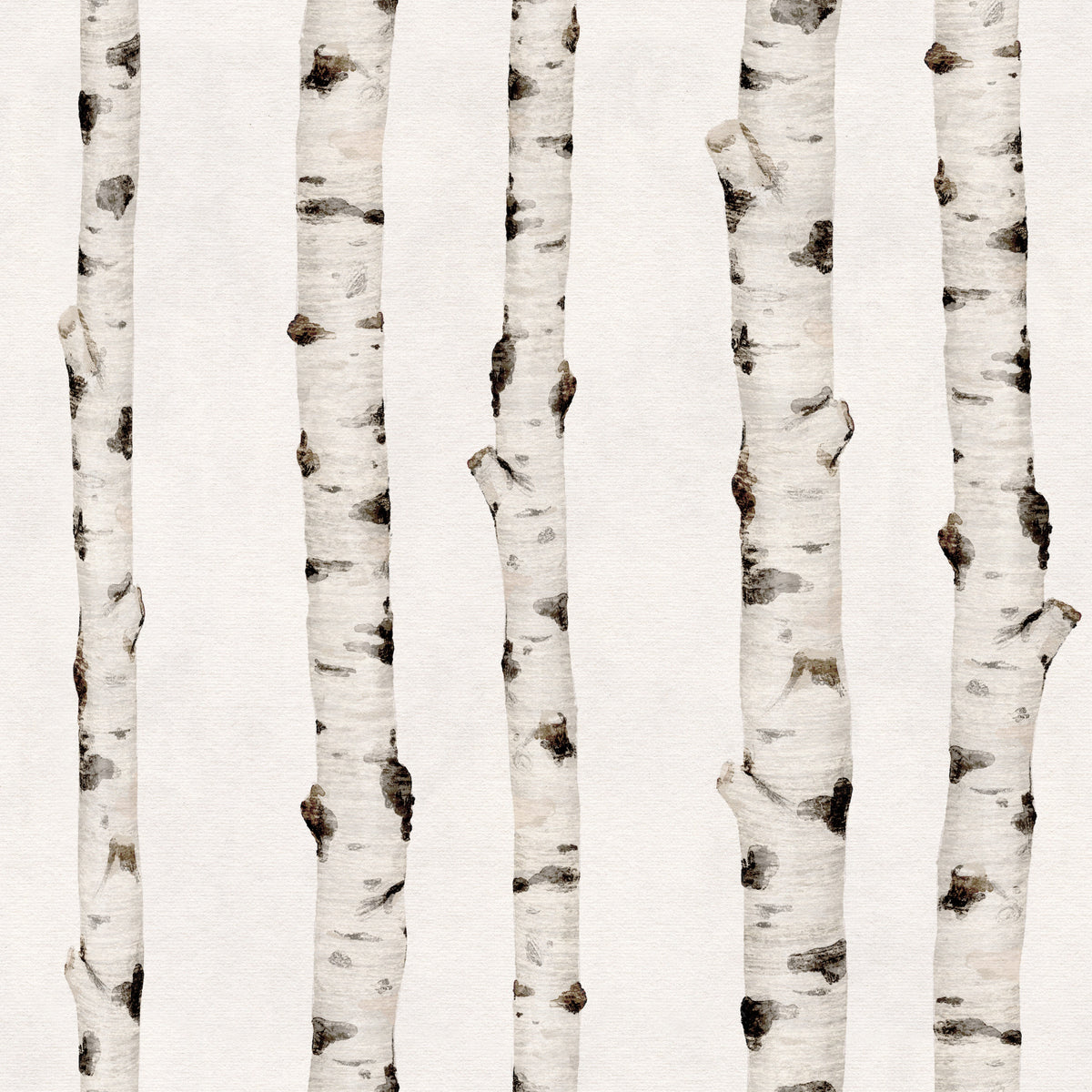 Rustic Birch Tree Forest Pattern Wallpaper⁠