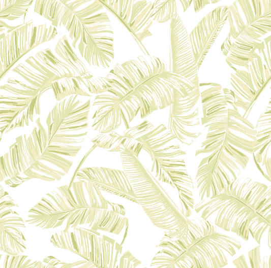 Forestly - Pistachio Cream Wallpaper⁠