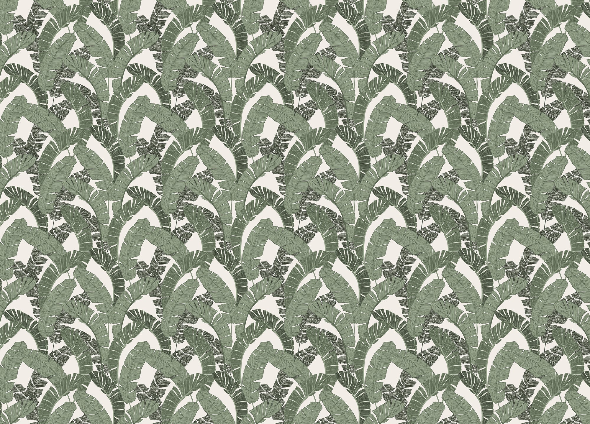 Banana Leaf Green Color Repeat Pattern Wallpaper