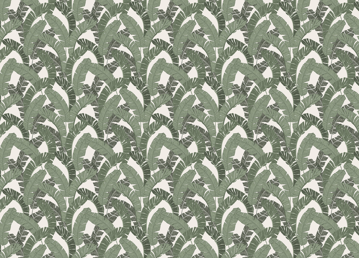 Banana Leaf Green Color Repeat Pattern Wallpaper in your room — zoomed