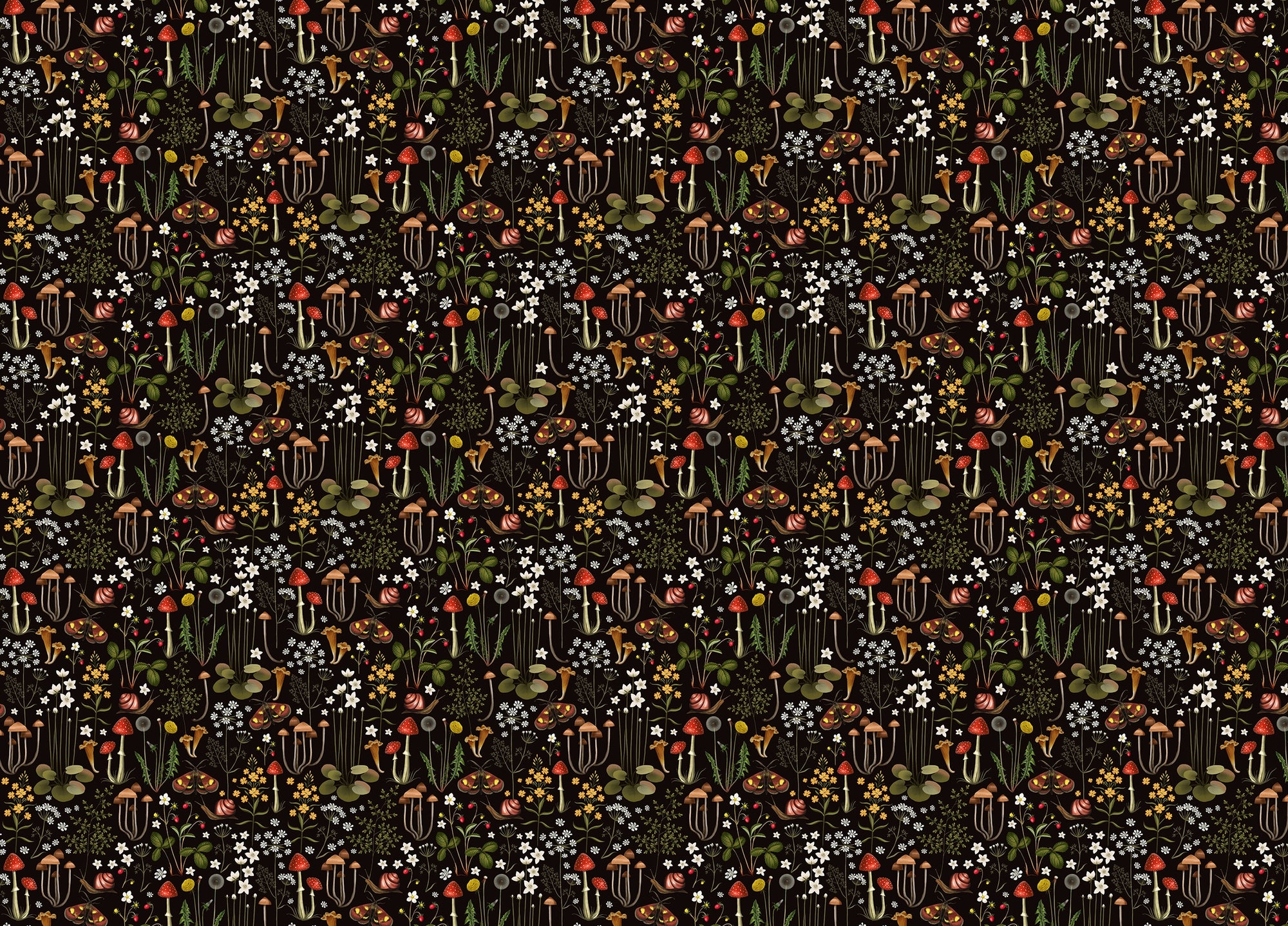 Fairy Forest Flower Mushrooms Black Background Wallpaper