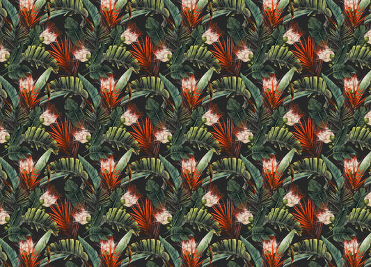 Floral Pattern Tropical Leaves Dark Background Wallpaper