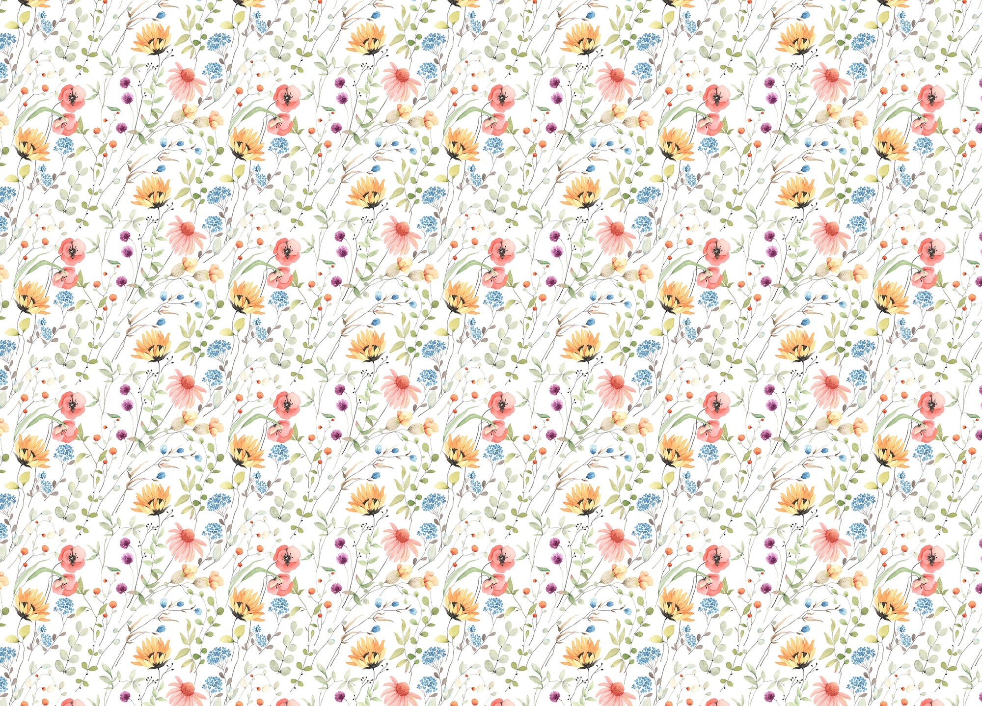 Colorful Flowers Abstract Green Plants White Wallpaper