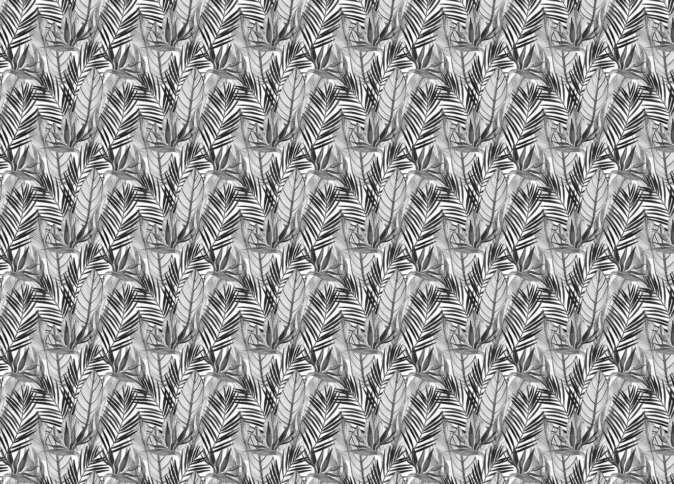 Black and White Watercolor Tropical Palm Leaves Wallpaper