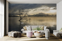 Misty Lake Tree Wallpaper - Wallanza
