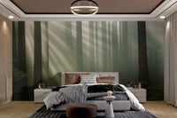 Misty Sunbeam Forest Wallpaper - Wallanza