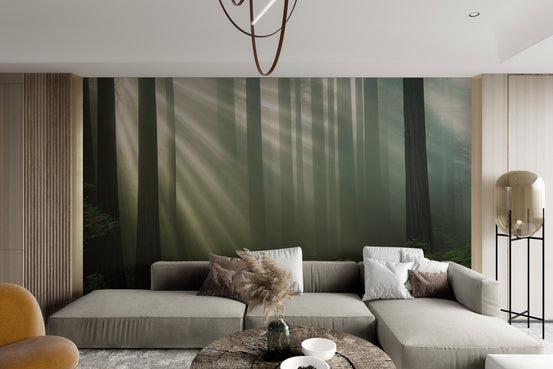 Sunlight and shadow forest wallpaper for a serene indoor environment.