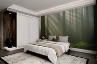 Misty Sunbeam Forest Wallpaper - Wallanza