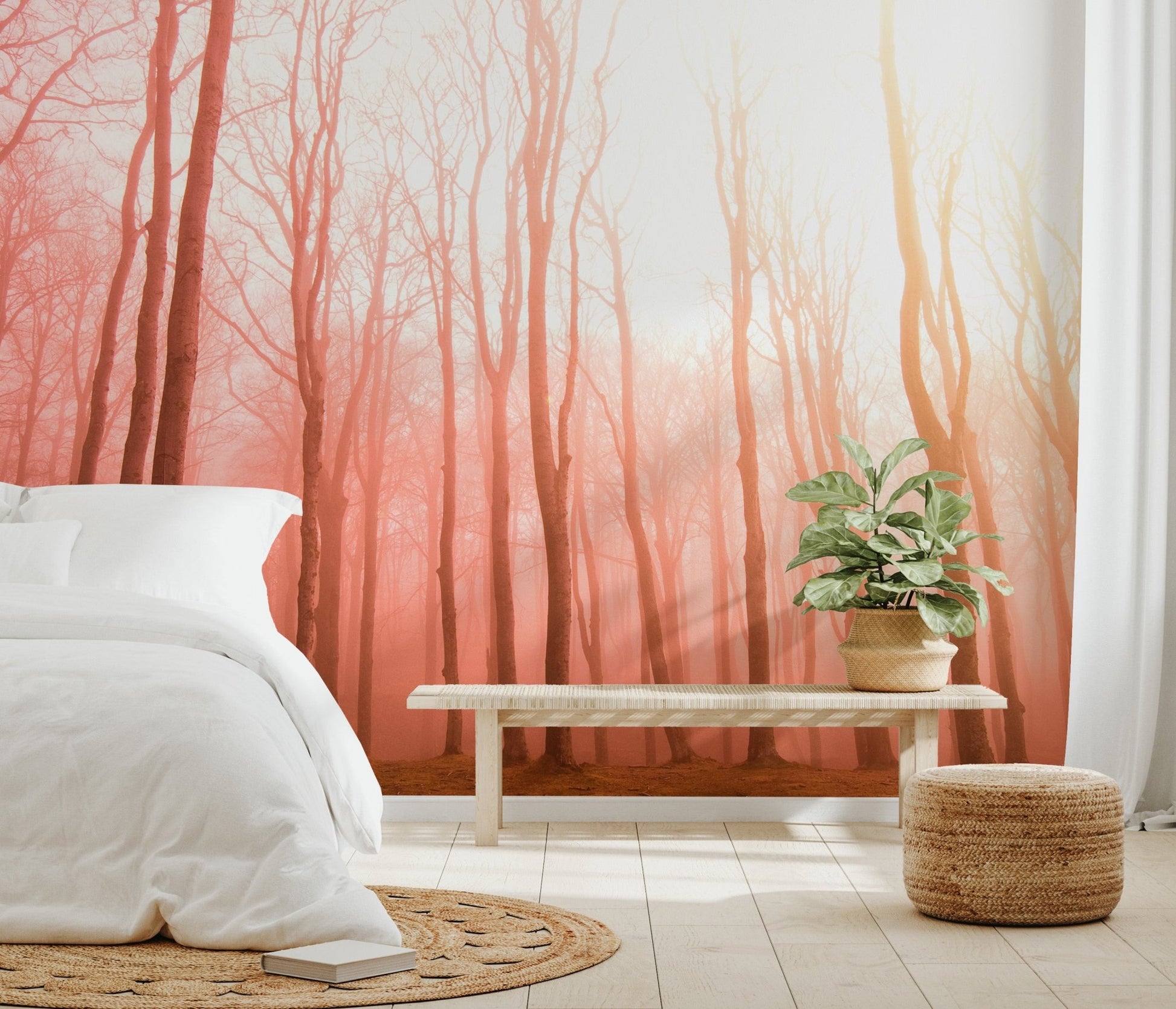 Misty Sunset Forest Wallpaper - Wallanza