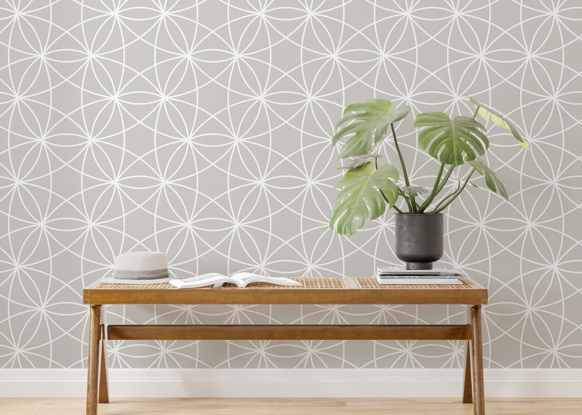 Minimalist repeat pattern wallpaper behind a wooden bench with a green plant.
