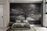 Moody Silhouette Tree Wallpaper - Wallanza