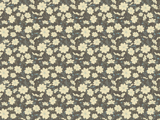Cosmos Flower Gray Wallpaper