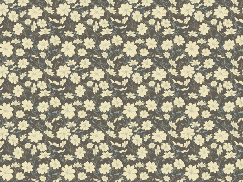 Cosmos Flower Gray Wallpaper